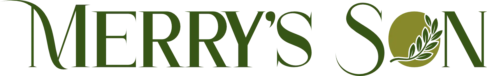 Ibne Maryam